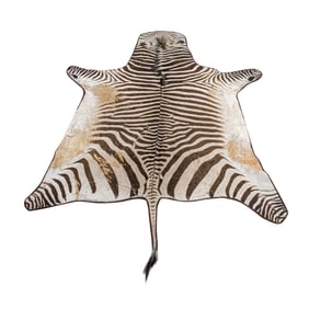 A zebra hide rug