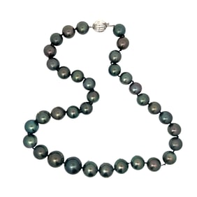 Graduated Single Strand Cultured Tahitian Pearl Necklace