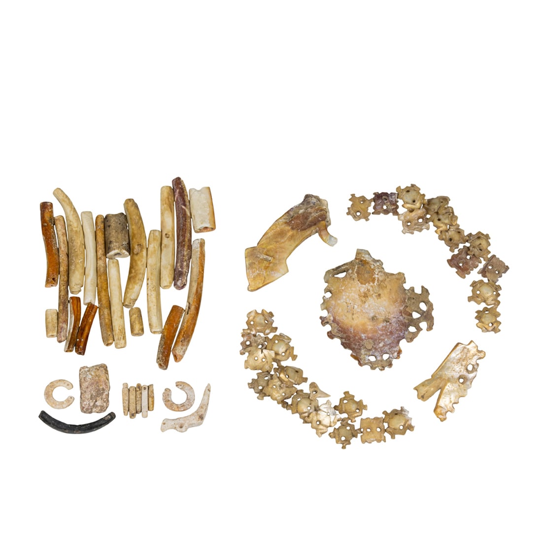 A group of Pre-Columbian shell ornaments and beads (1 of 2)