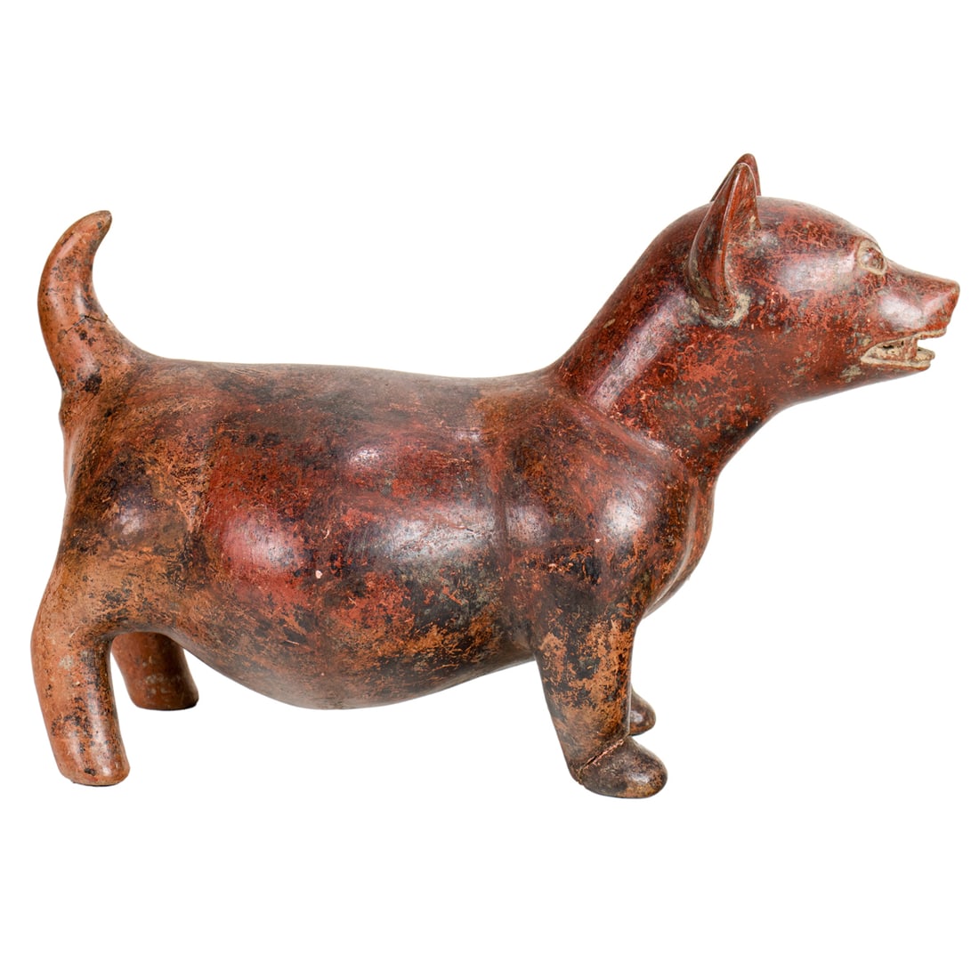 A Pre-Columbian Colima pottery dog (1 of 4)