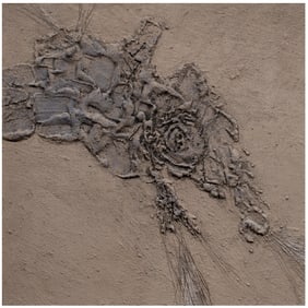 Mixed Media, Louis Siegrist