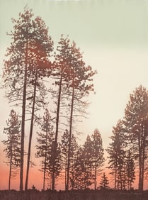 Prints, Catherine O'Connor