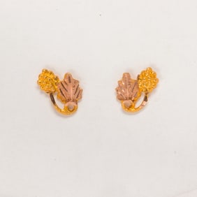A pair of 14k gold earrings