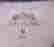 item-16826274=6