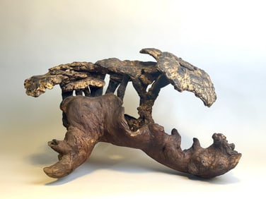 Chinese Scholar Lingzi Fungus on Rootwood, 19th Century