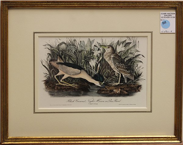 Print, After John James Audubon, Black Crowned Night He: After John James Audubon (American, 1785-1851), "Black Crowned Night Heron," by J.T. Bowen, publication line within lower margin, overall: 12"h x 15"w