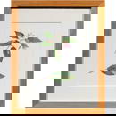 Watercolor, Caroline Lee Radziwill