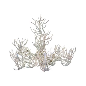 A faux coral six-light chandelier