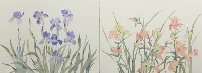 Prints, Susan Headley van Campen