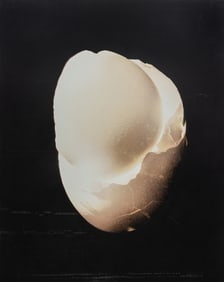 Print, Jenny Gummersall