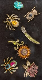 Seven Heidi Daus costume jewelry brooches of flora and fauna
