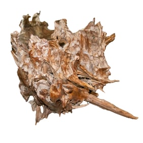 A Japanese rootwood sculpture