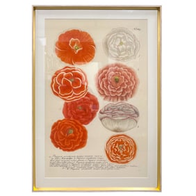 Print, European School