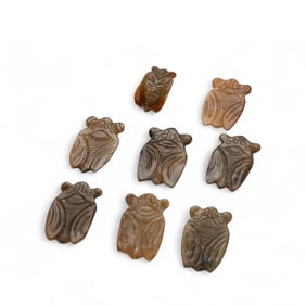Collection of Eight Early Chinese Carved Jade Cicadas