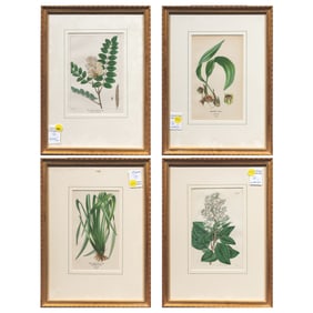 Prints, European School (20th century)