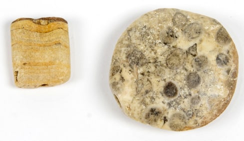 (lot of 2) Fossilized beads