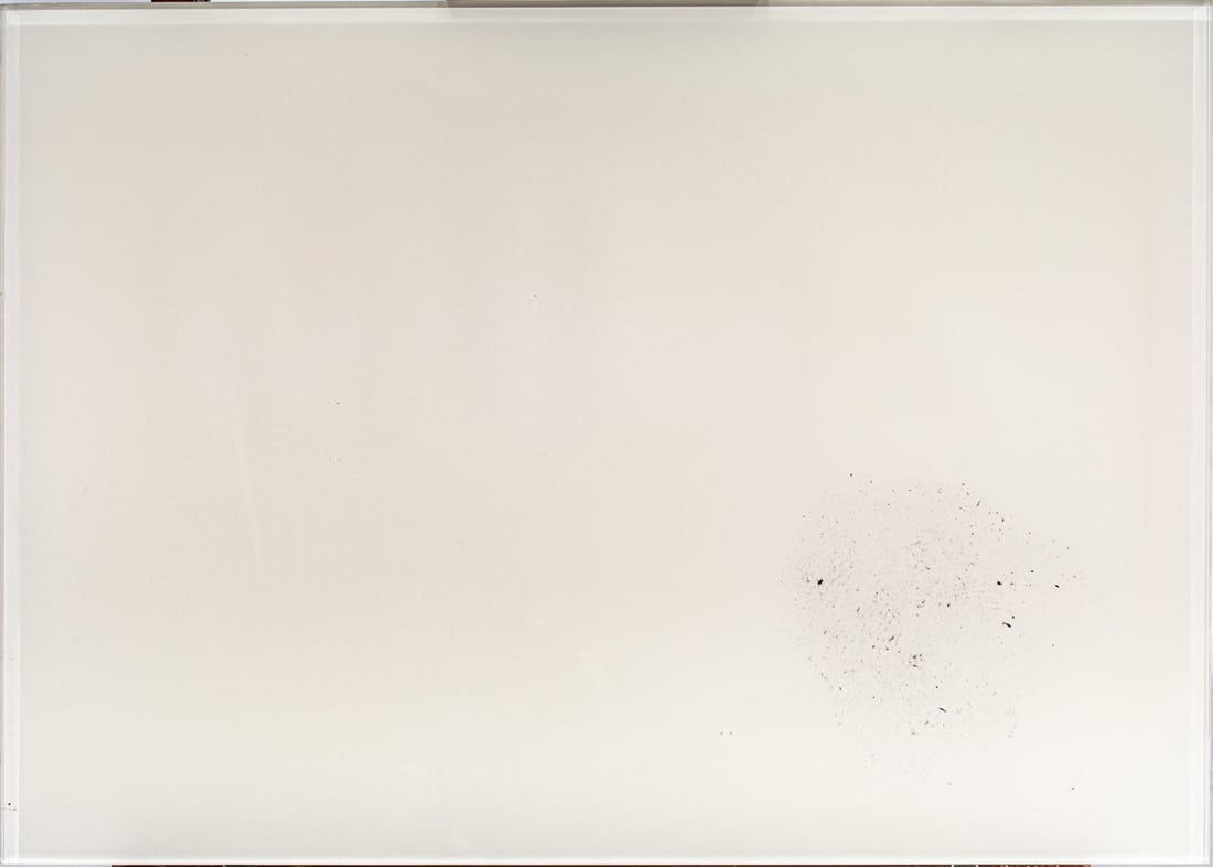 Photograph, Orit Raff (1 of 4)