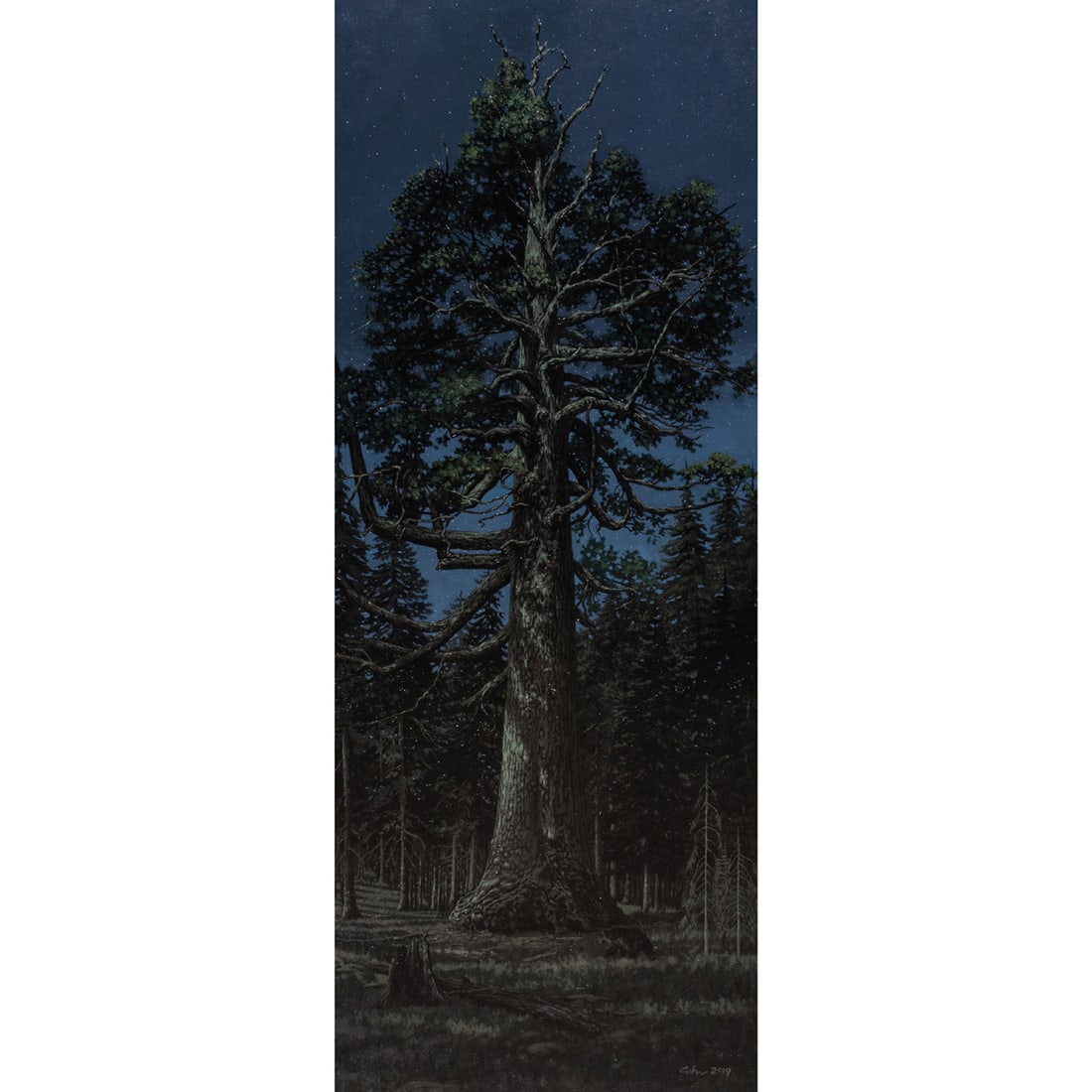 Painting, Bradley Giles: Bradley Giles (American, b. 1967), "Moonlight in the Land of Giants, Grizzly Sequoia, Yosemite," 2019, oil on canvas, signed and dated lower right, signed and titled verso, canvas: 60"h x 24"w, overal