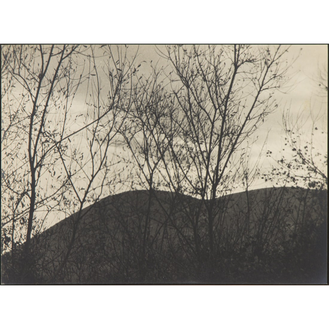 Photograph, Johan Hagemeyer (1 of 5)