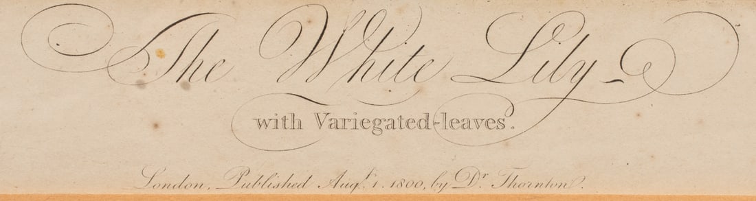 Prints, Robert John Thornton - 6