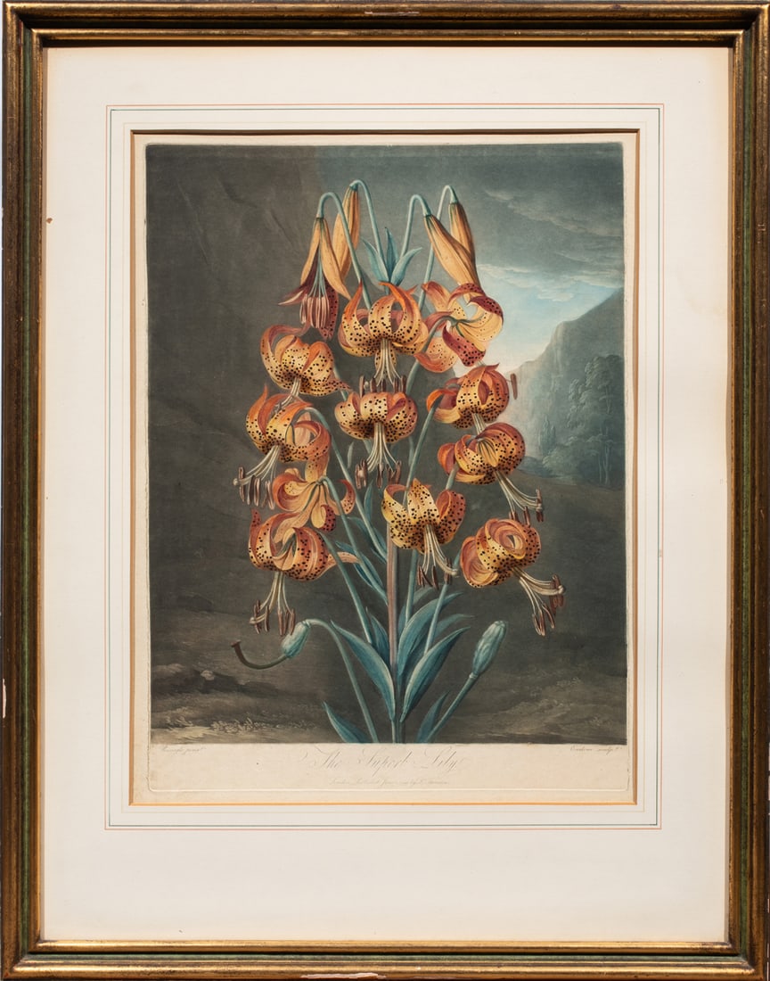 Prints, Robert John Thornton - 7