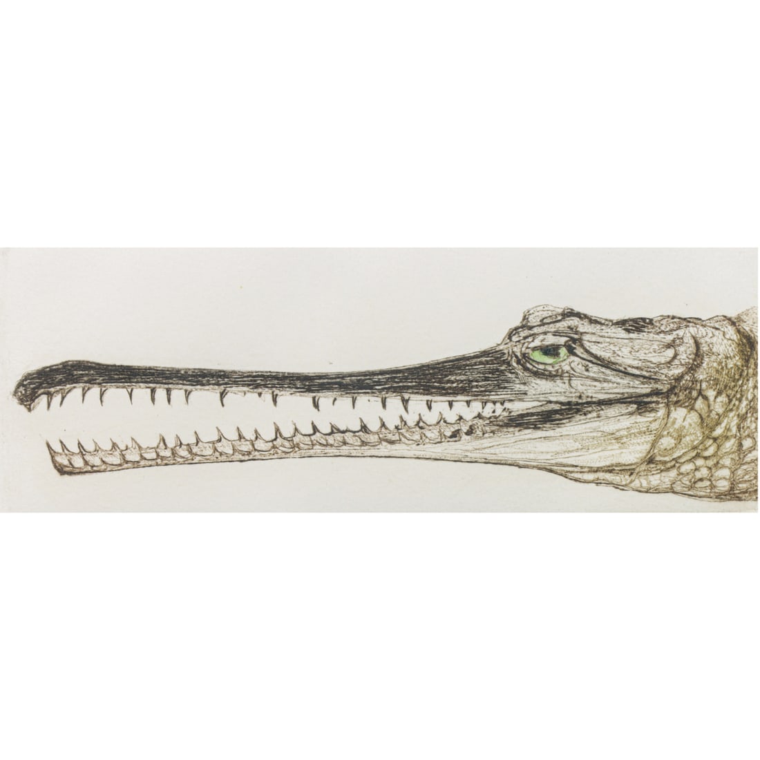 Print, Beth Van Hoesen (1 of 6)