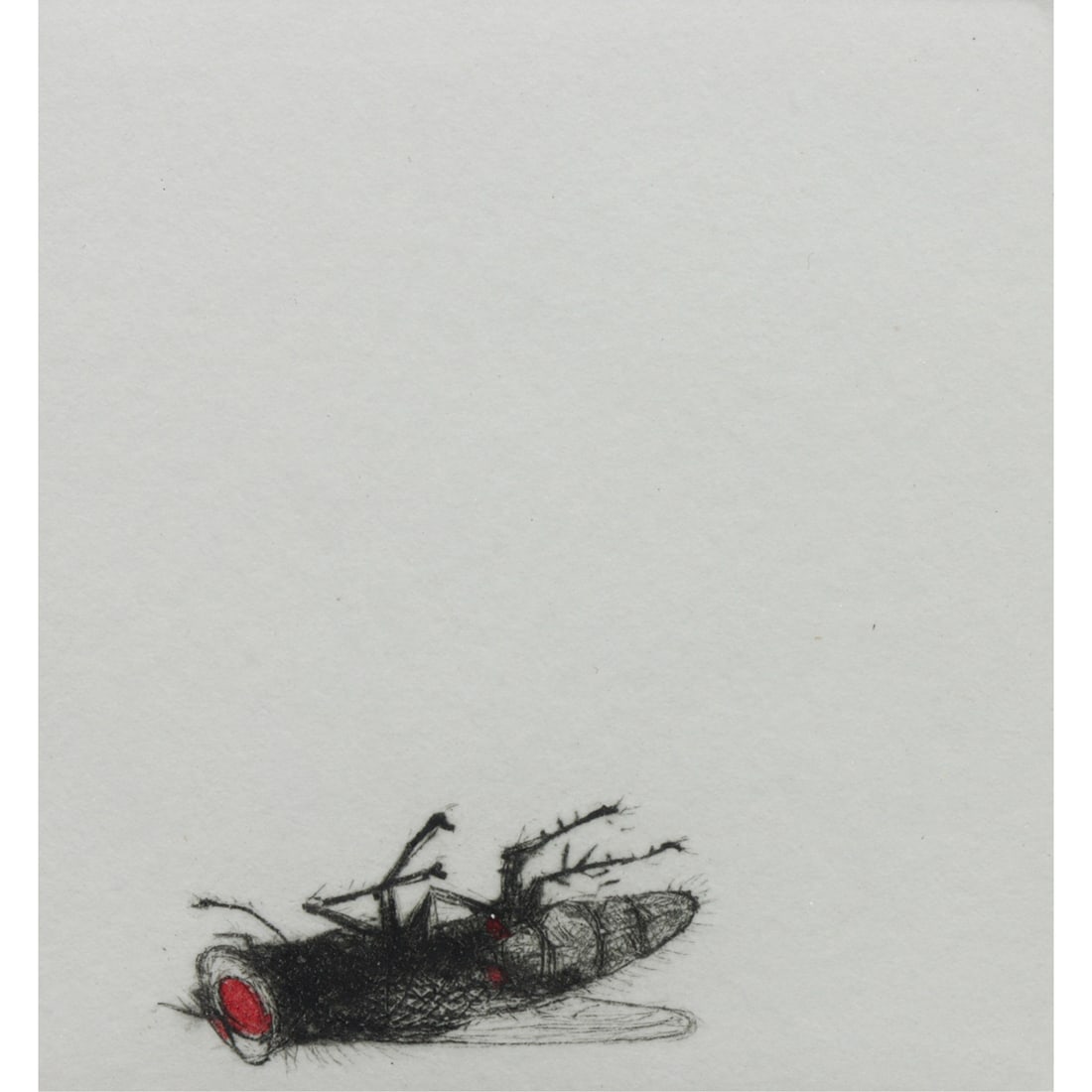 Print, Beth Van Hoesen: Beth Van Hoesen (American, 1926-2010), "Fly," etching, pencil signed lower right, titled lower left, edition 18/25, image: 2"h x 1.75"w, sheet: 8"h x 7.5"w, overall (with frame): 9.5"h x 9"w