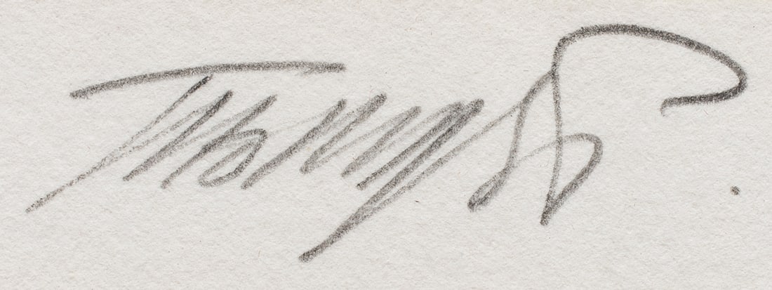 Print, Thomas Pradzynski - 4