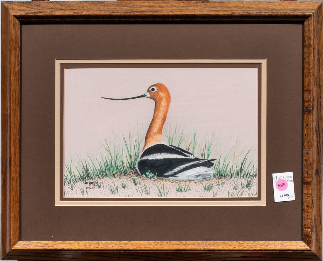 Work on paper, Lee Jayred: Lee Jayred (American, 20th century), "Avocet," 1986, Prismacolor pencil on paper, signed and titled lower left, dated and titled verso, overall (with frame): 16.5"h x 20.5"w