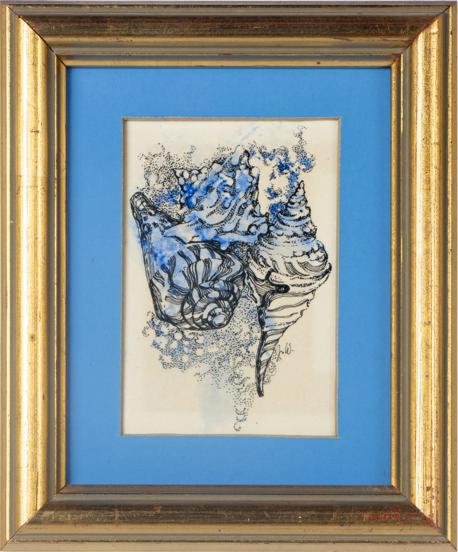 Work on paper, American School (20th century): American School (20th century), Seashells, ink on paper, initialed "JW" lower right, overall (with frame): 6"h x 5"w