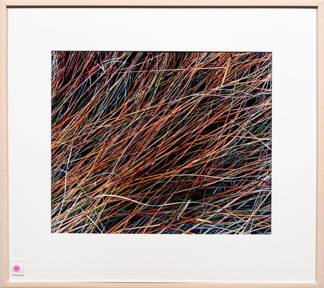 Photograph, John Wawrzonek: John Wawrzonek (American, b. 1951), "Salt Marsh Grass," 1983, dye transfer photograph, collection labels (Viart Corporation; Artventures; McCutchen, Doyle, Brown & Enersen) affixed verso, overall