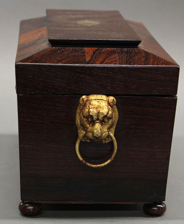 English rosewood tea caddy - 4