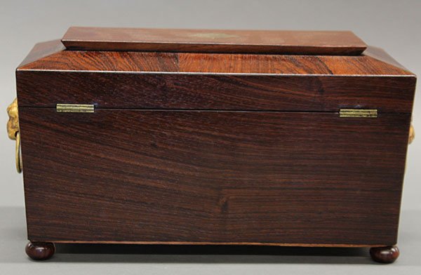 English rosewood tea caddy - 5