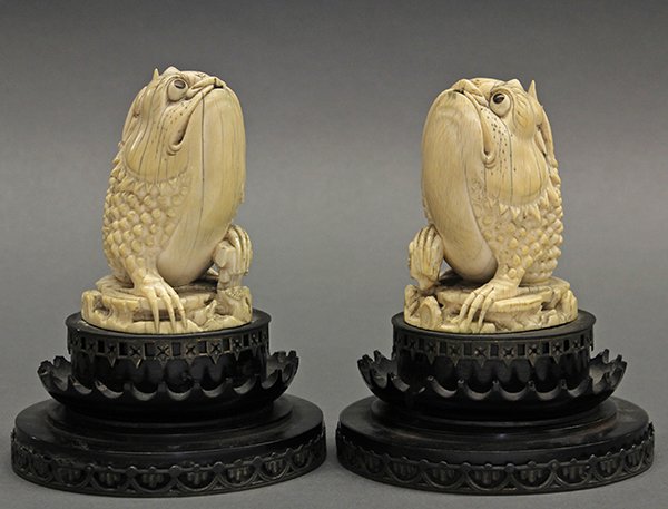 Chinese Ivory Toads (Jinchan) - 2