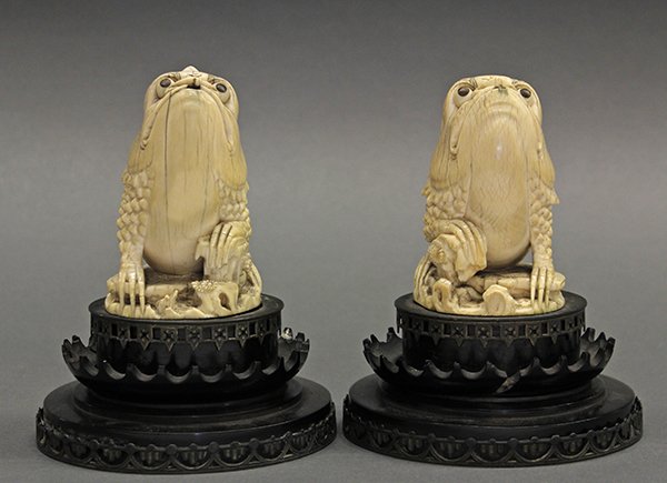 Chinese Ivory Toads (Jinchan) - 3