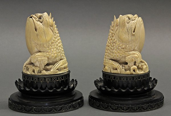 Chinese Ivory Toads (Jinchan) - 4