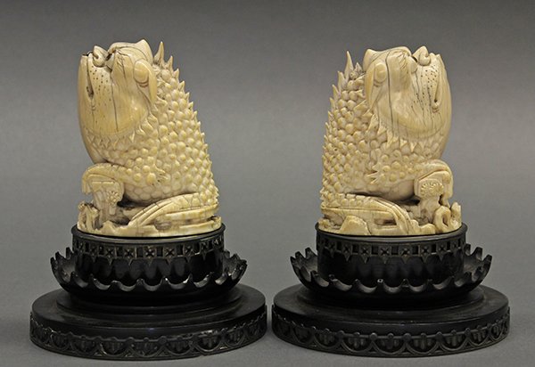 Chinese Ivory Toads (Jinchan) - 5