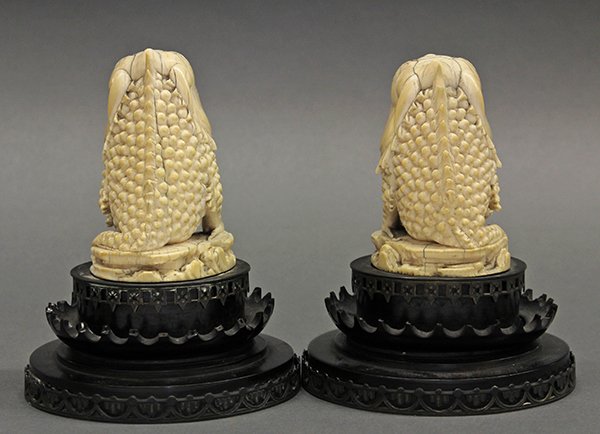 Chinese Ivory Toads (Jinchan) - 6
