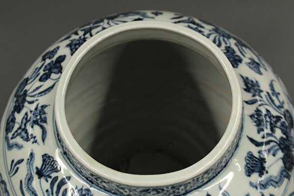 Chinese Blue-and-White Porcelain Jar - 5