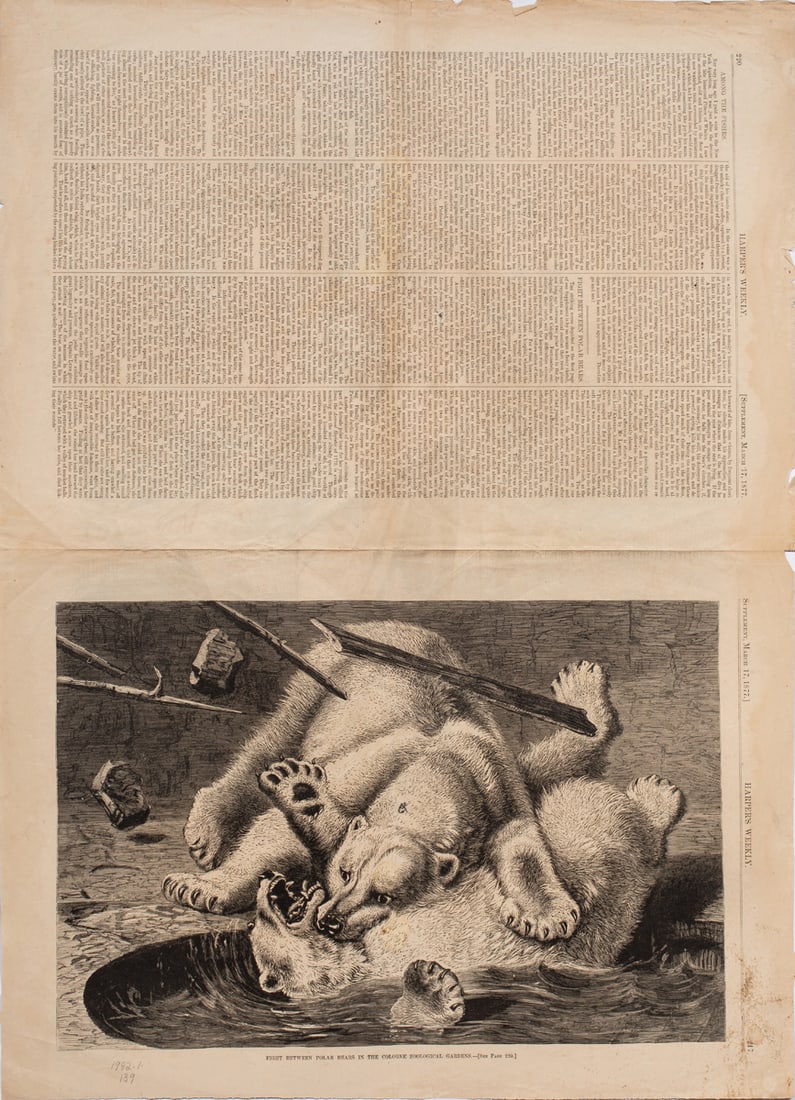 Print, Thomas Nast - 2