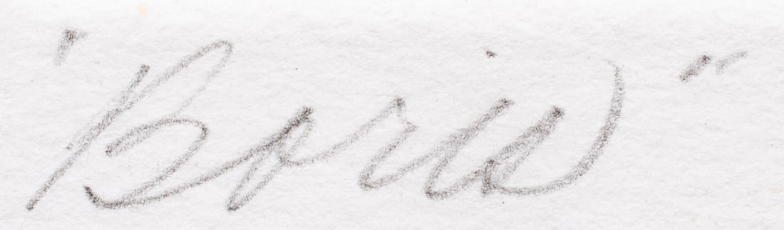 Print, Beth Van Hoesen - 4