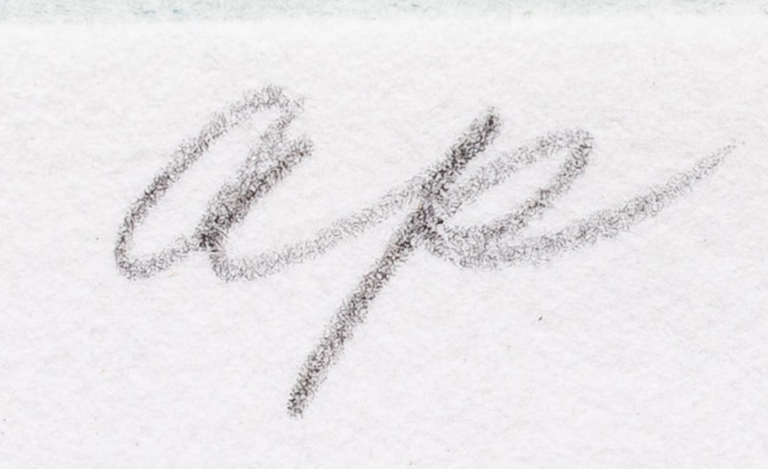 Print, Beth Van Hoesen - 5