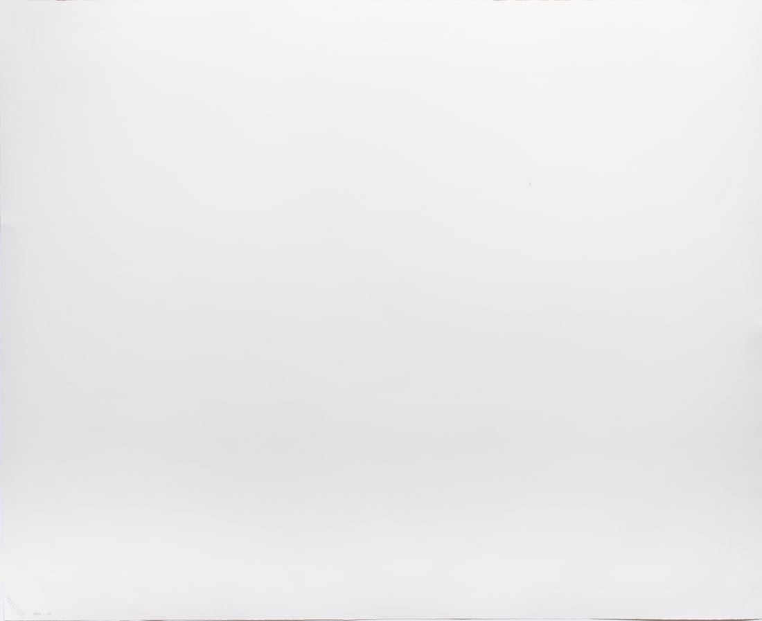 Print, Terry Fox - 2