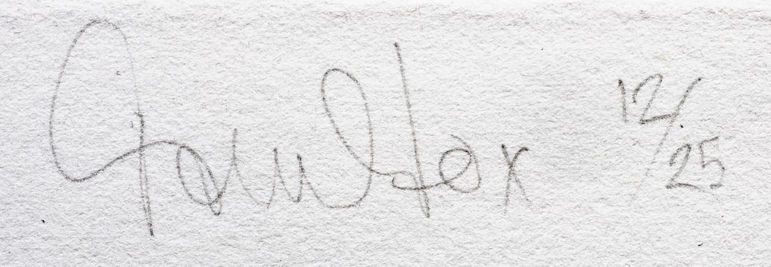 Print, Terry Fox - 4