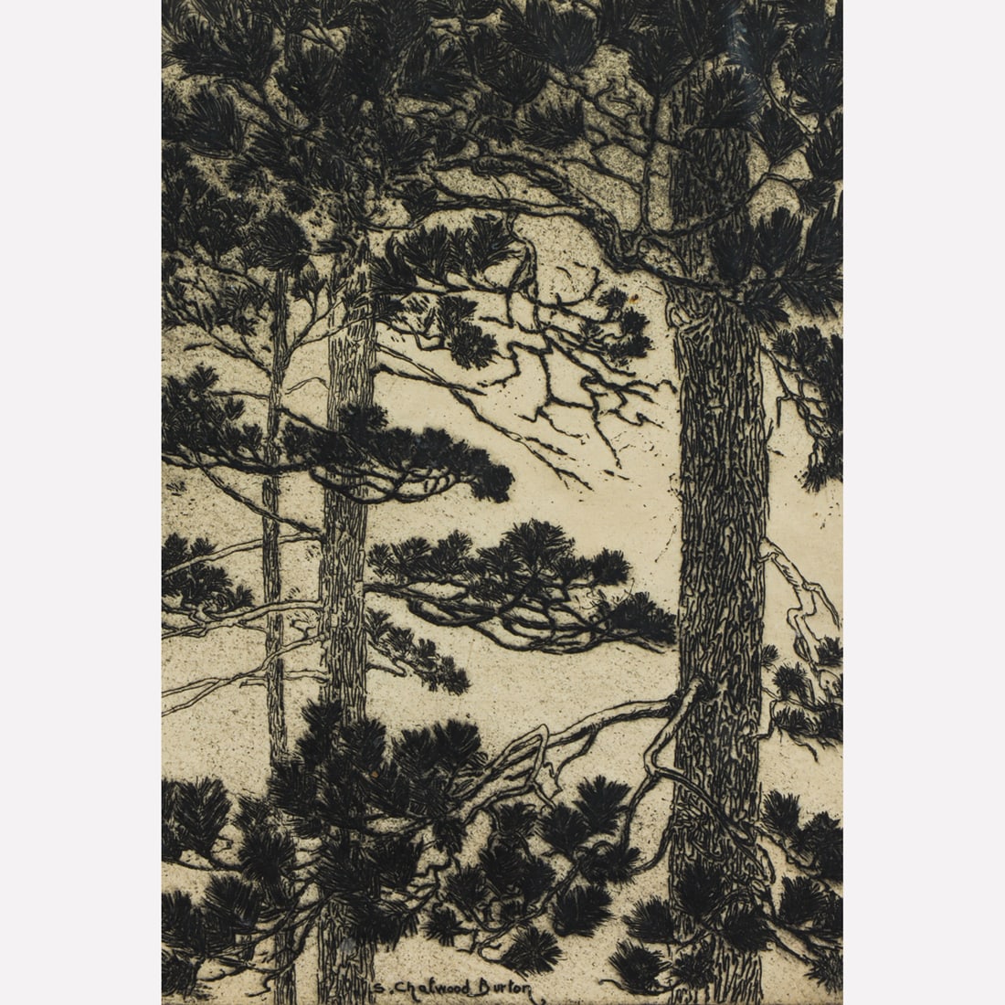 Print, Samuel Chatwood Burton: Samuel Chatwood Burton (American, 1881-1947), "Pine Cones," etching, pencil signed lower right, titled lower left, image: 8.5"h x 6"w, overall (with frame): 16.75"h x 13.25"w