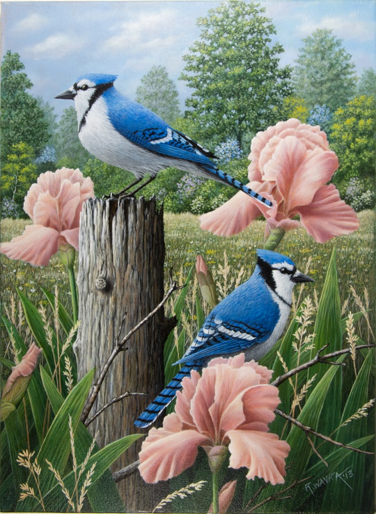 Paintings, Robert Wavra