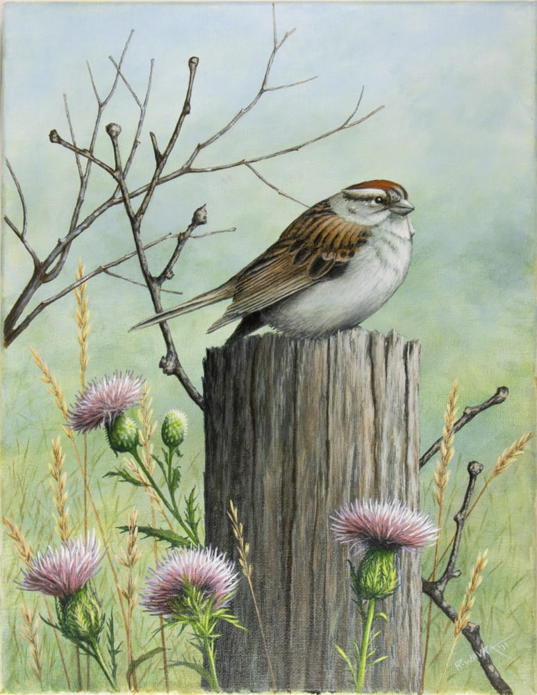 Paintings, Robert Wavra - 2