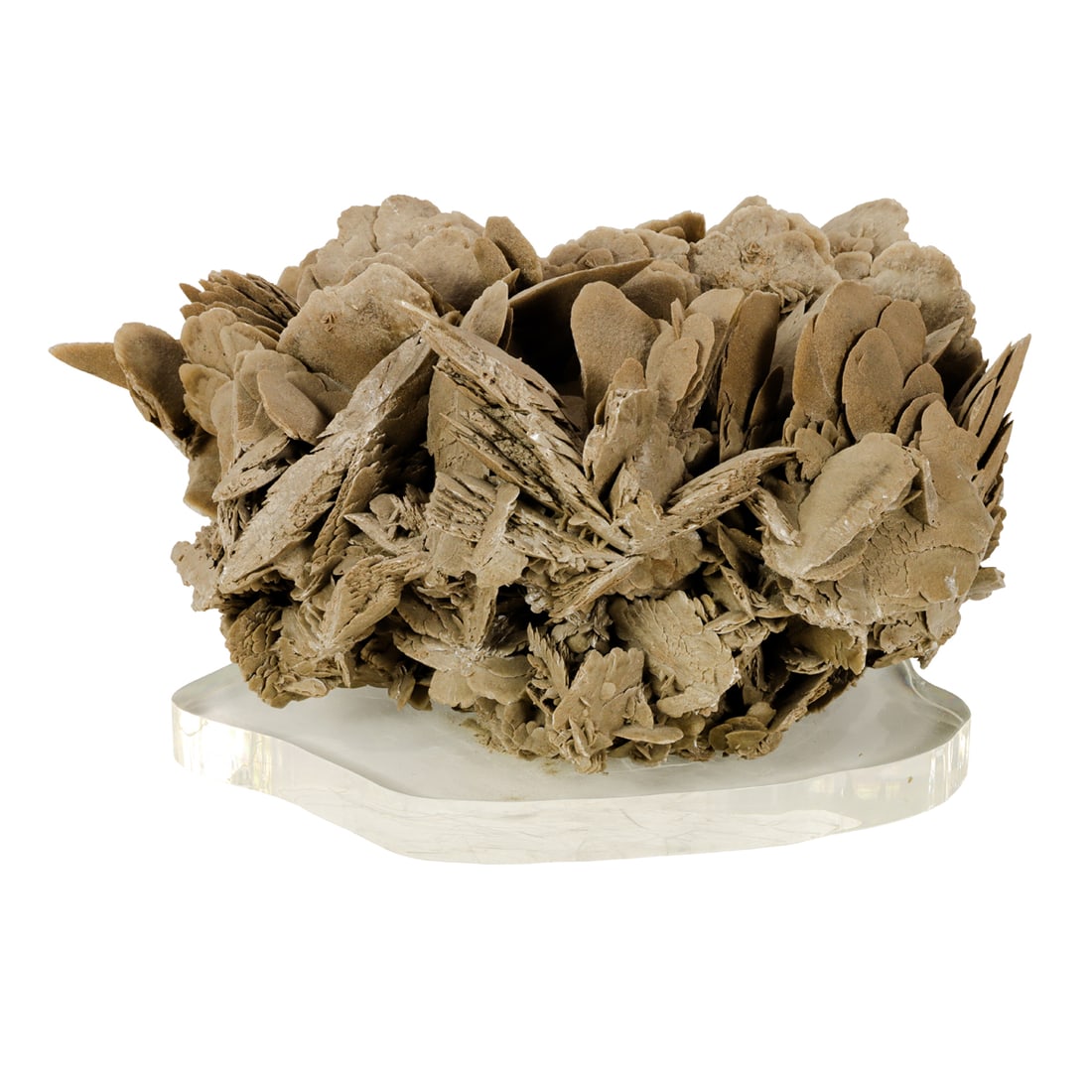 A large Desert Rose selenite formation (1 of 3)