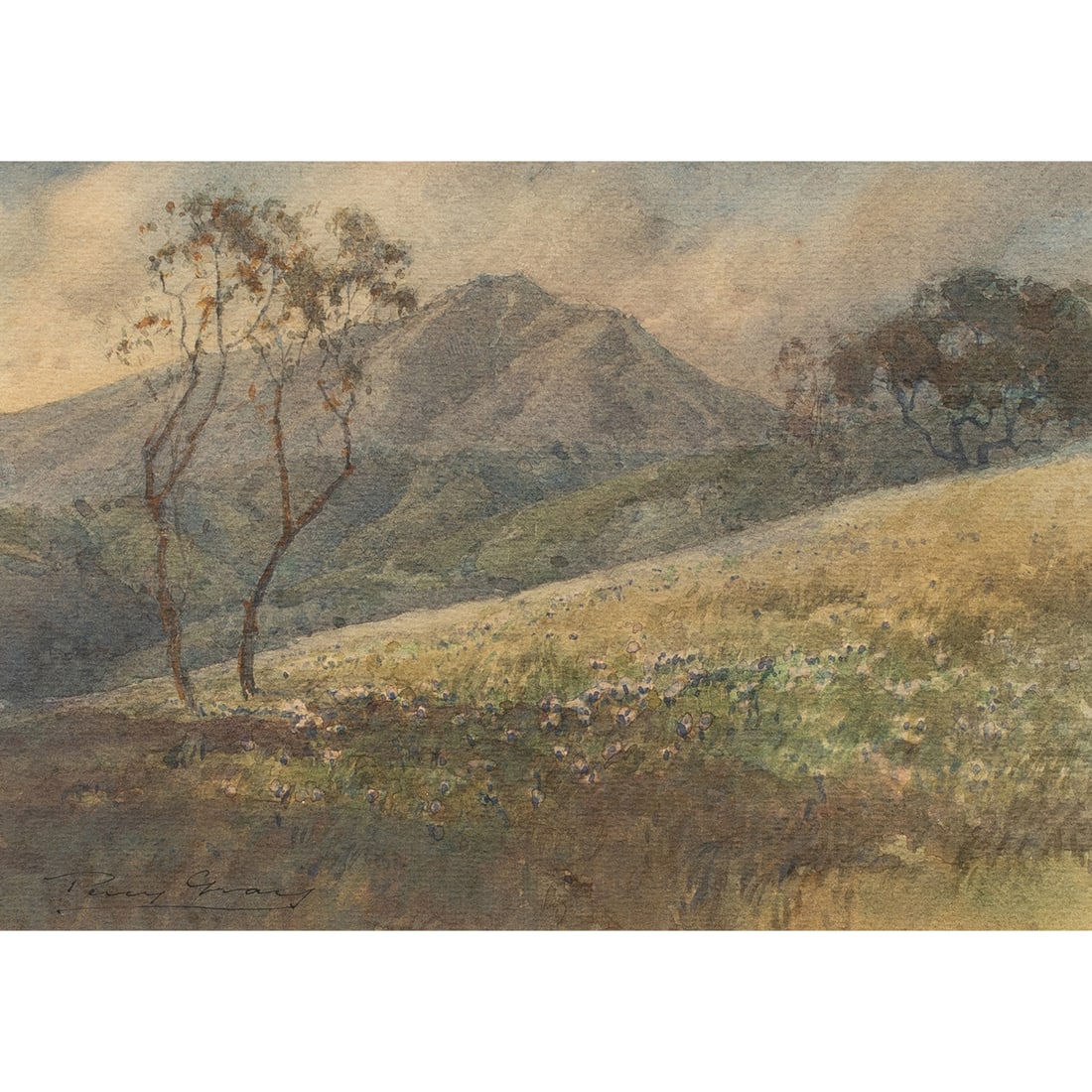 Watercolor, Percy Gray (1 of 4)