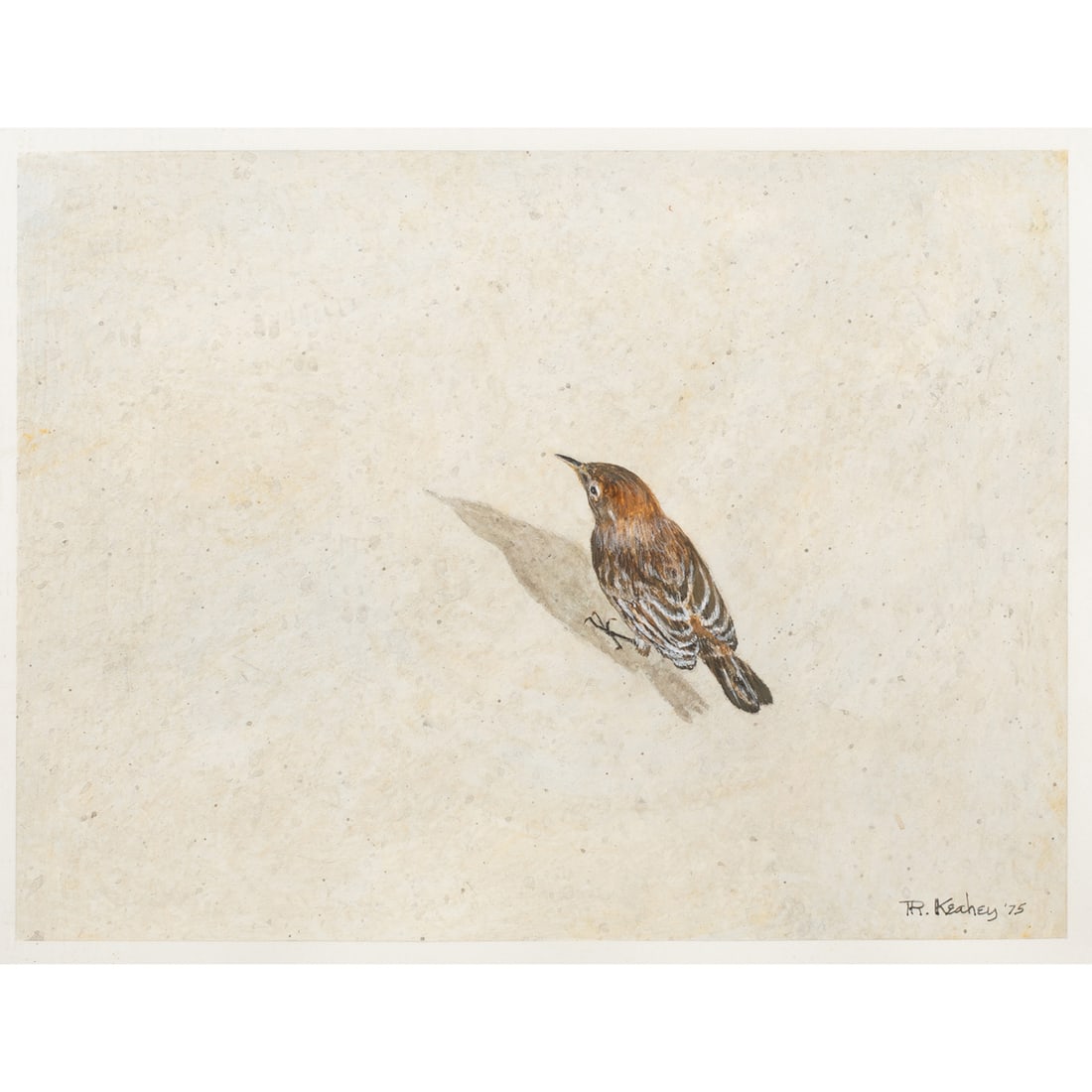 Painting, Richard Hall Keahey: Richard Hall Keahey (American, 1931-2018), Little Bird, watercolor, signed lower right, sight: 9"h x 11.75"w, overall (with frame): 17.25"h x 20.25"w